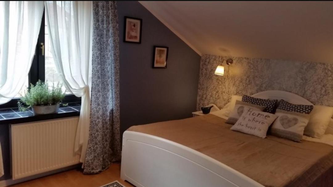 Willa Lysica Krynica Morska Exteriér fotografie